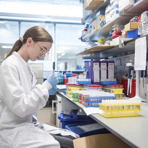 Shaanxi Baisifu Biological Engineering Co., Ltd. কারখানা উত্পাদন লাইন