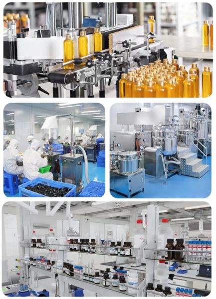 Shaanxi Baisifu Biological Engineering Co., Ltd. কারখানা উত্পাদন লাইন
