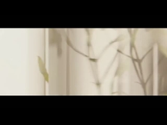 চা গাছের অপরিহার্য তেল ল্যাভেন্ডার তেল পেপারমিন্ট তেল কাফর গাছের মস্তিষ্কের তেল রোজ অপরিহার্য তেল ইউকা