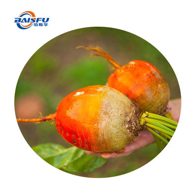 Natural extract Food coloring Beet Yellow Color yellow color Powder