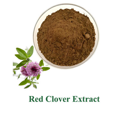 Baisfu Red Clover Extract, Brownish-yellow powder
