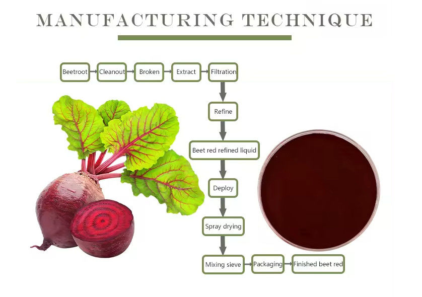 Natural Freeze Dried Vegetable  Beet Root Powder for Food Ingredients and Dietary Supplements