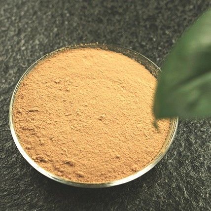Organic Freeze Dried Jasmine Tea Powder The Perfect Ingredient For Health Products