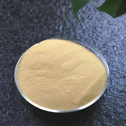 Instant liquorice powder Freeze Dried Herbal Powder for a Natural Immunity Boost