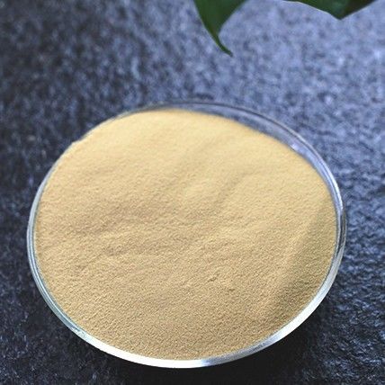 Instant liquorice powder Freeze Dried Herbal Powder for a Natural Immunity Boost