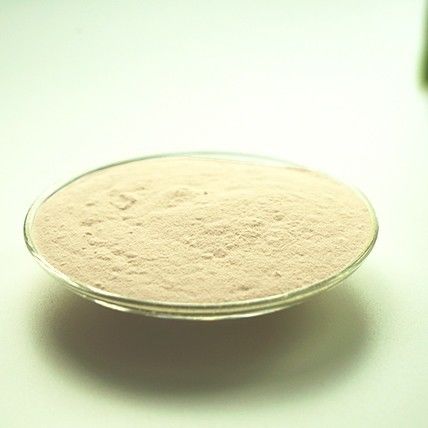Instant Ginger Powder for Natural Immunity Boosting in Food and Beverage