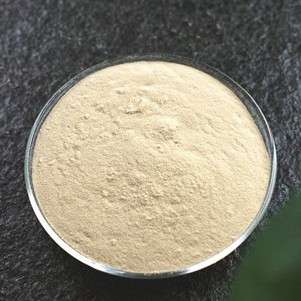 Instant Ginger Powder for Natural Immunity Boosting in Food and Beverage