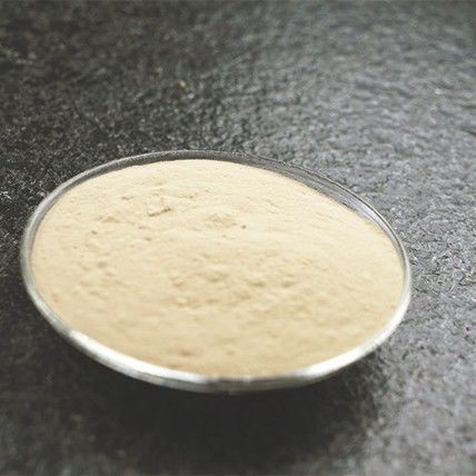 Instant Ginger Powder for Natural Immunity Boosting in Food and Beverage