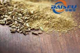 Baisfu Pure Plant Extract Fennel Seed Extract for Appetite Suppressant and Stomach Problems