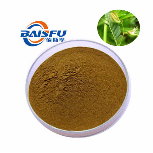 baisfu Yellow- Brown Powder Hot Sale On 100% Natural Cassia Nomame P.E. Specification Flavanols 8%