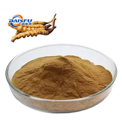 Baisfu Manufactory Wholesale Pure Brown yellow fine powder Top Quality Cordyceps Militaris Powder CAS No.: 73-03-0 for food additive and cosmetic