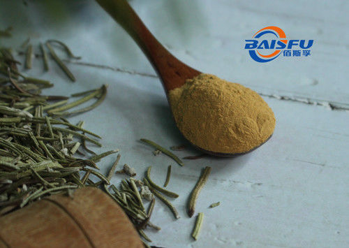Baisfu Brown Powder GMP Manufacturer Offer Rosmarinicacid 98% Rosmarinicacid CAS NO.20283-92-5