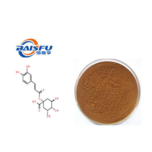 Baisfu Yellow Powder Natural High Quality 1-Caffeoylquinic Acid Hot Selling With Factory Price CAS NO. 1241-87-8