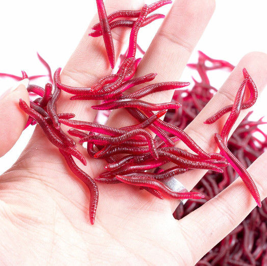Hot Concentratest Red Worm Flavor Cat Dog Food Flavors And Spices Condiment