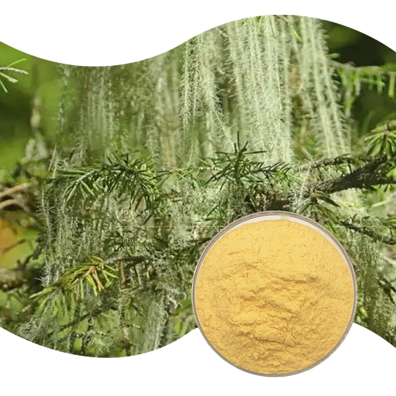 Baisfu concentration 98% Yellow crystalline powder Usnic Acid Powder CAS 125-46-2 For Skin care and oral care