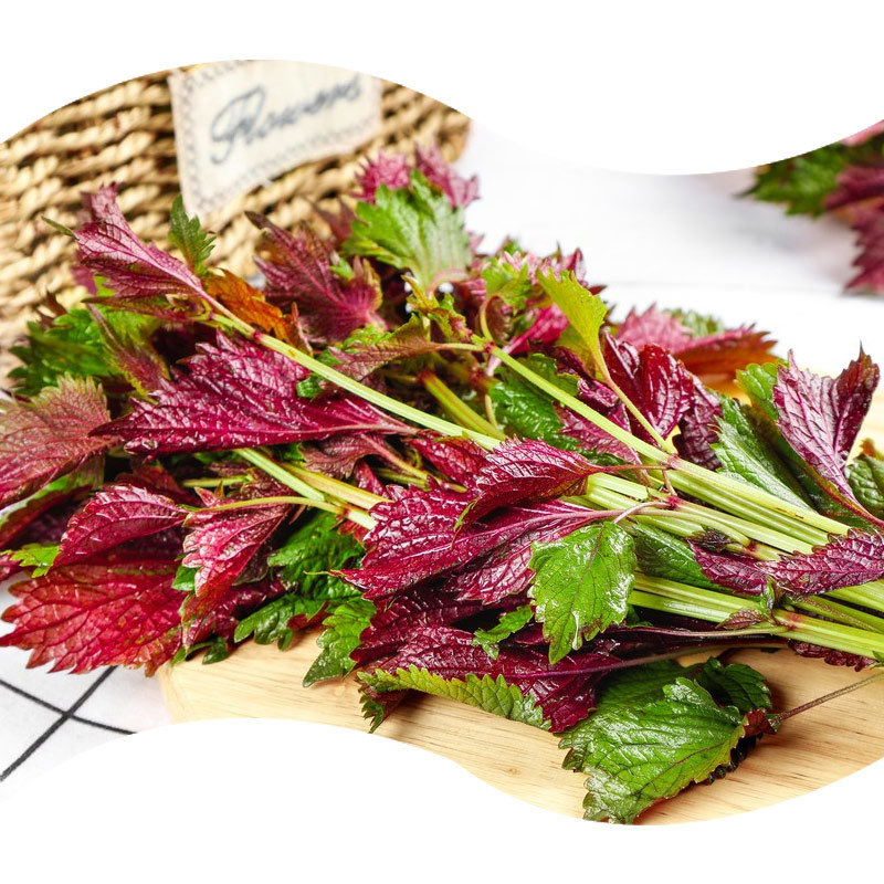 BAISFU Hot Sell High Quality Perilla Flavor for Food Additives