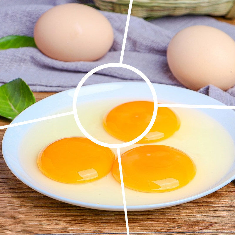 Natural Egg White Bakery Flavors Ideal for Enhancing Texture and Flavor in Commercial Baking Products