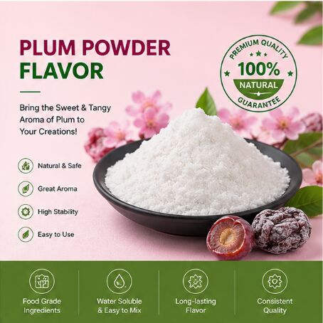 Premium Plum Powder Flavor for Sour Plum Snack Seasoning Potato Chip Coating and Popcorn Dusting