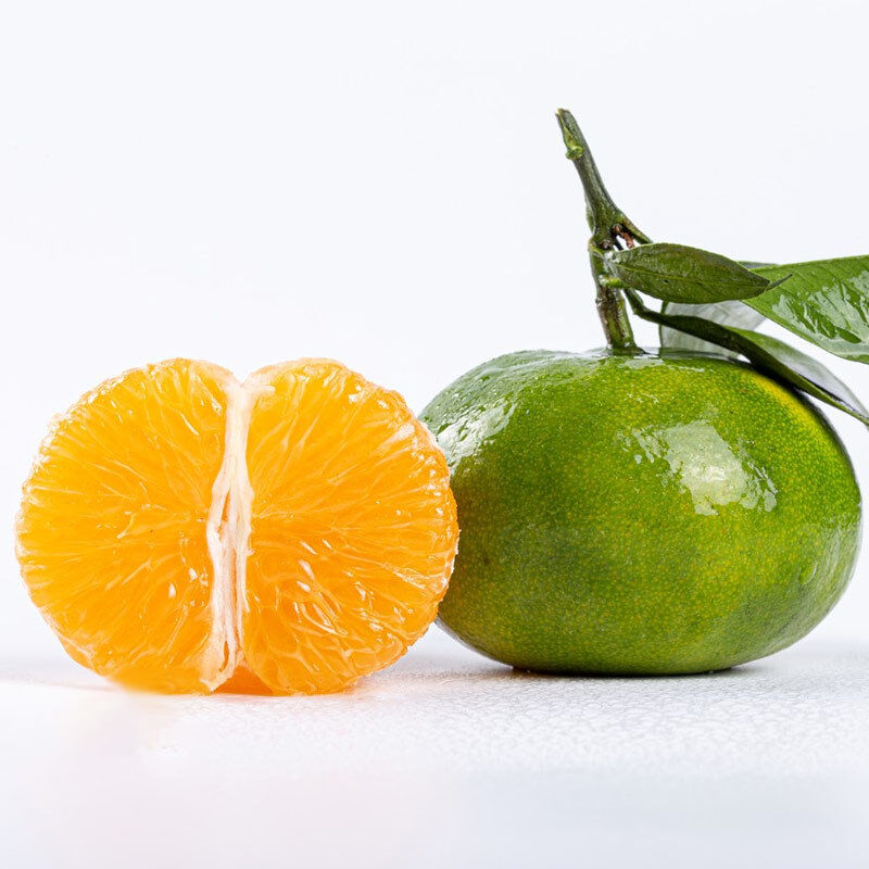 Food Essence Flavours natural flavor extracts optimized for in snacks beverages dairy and confectionery production lines