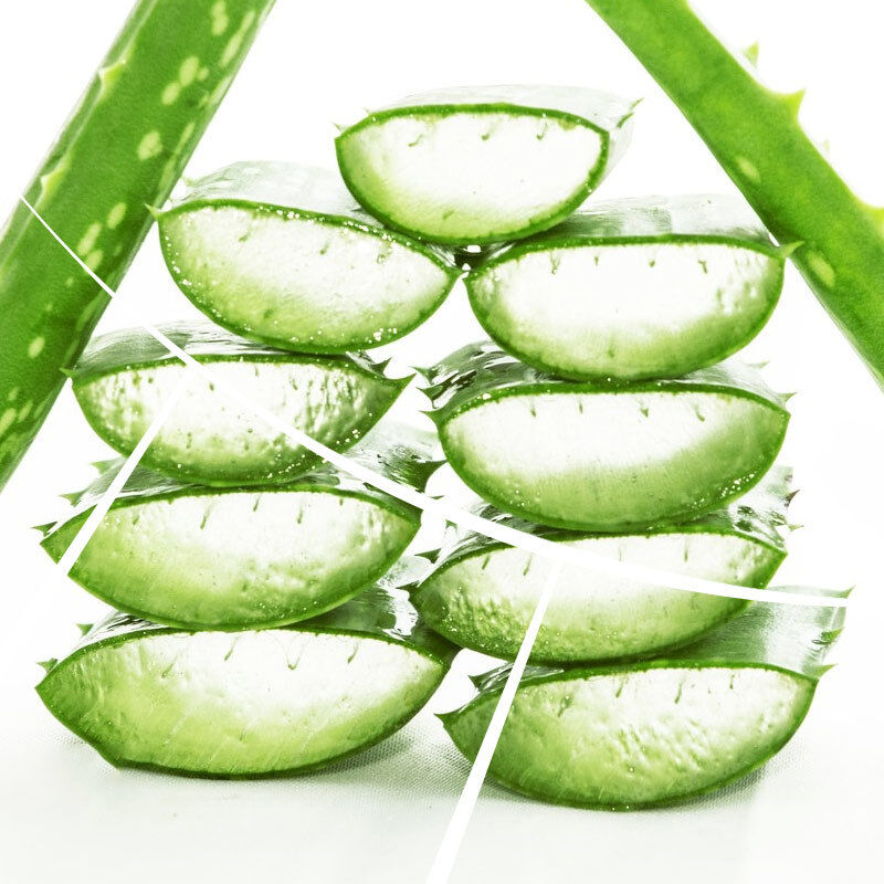 Premium Food Grade Aloe Flavor for Beverage Dairy Functional Drink Delivering Fresh Botanical Coolness